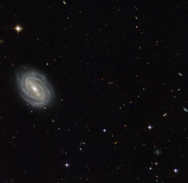 Hubble lensed supernova: The Best Proven Discoveries