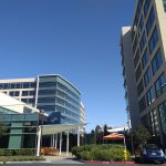Palo Alto Networks stock rise