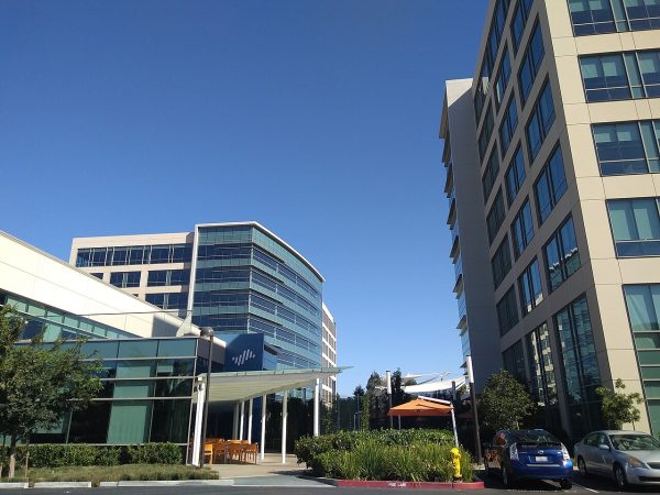 Palo Alto Networks Stock Rise: Proven Insights on AI Growth