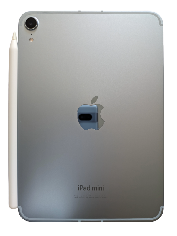 iPad mini accessory: Is it the Best New Launch for Apple?